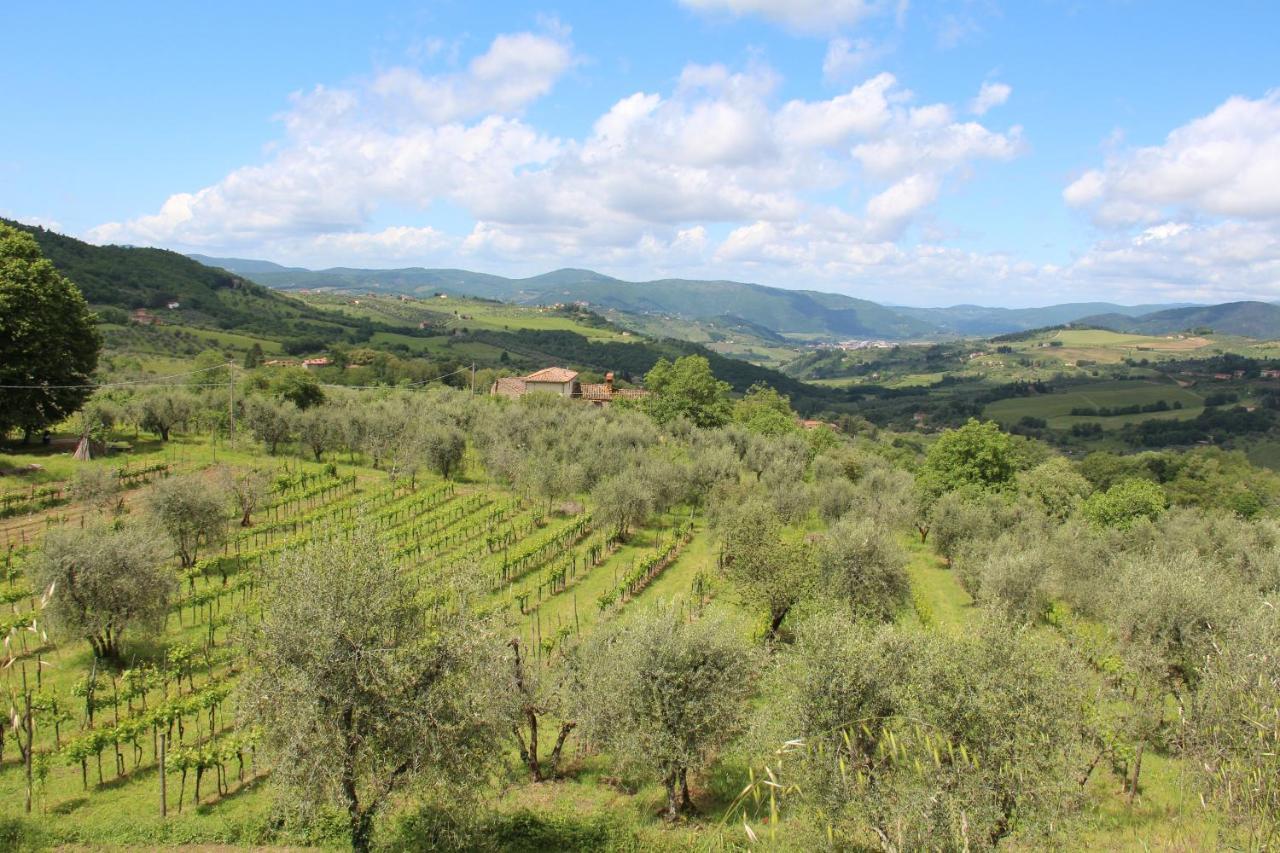 Fattoria Di Caticciano, Elegante Affittacamere Relax E Natura Vicino Firenze Pelago Eksteriør bilde